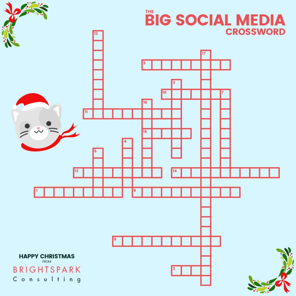 Big Social Media Crossword Puzzle