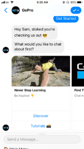 chatbot example