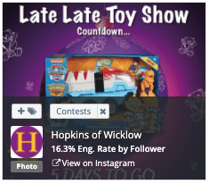 Hopkins Toy Shop engagement top posts2
