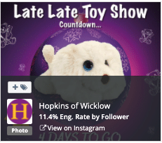 Hopkins Toy Shop engagement top posts5